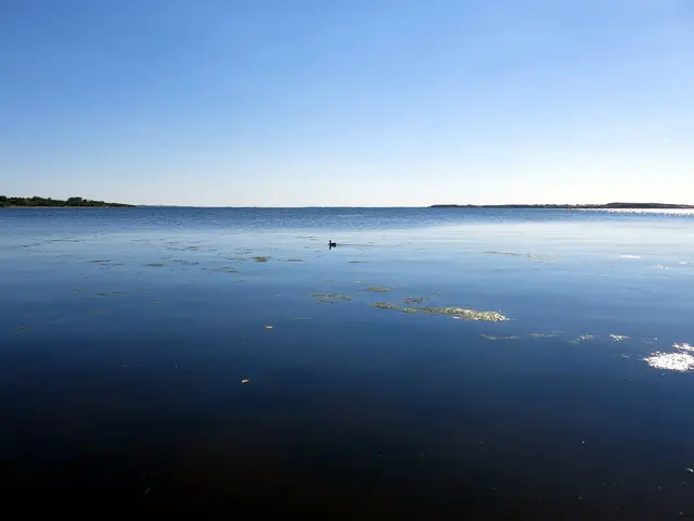 Jackfish Lake on a calm day