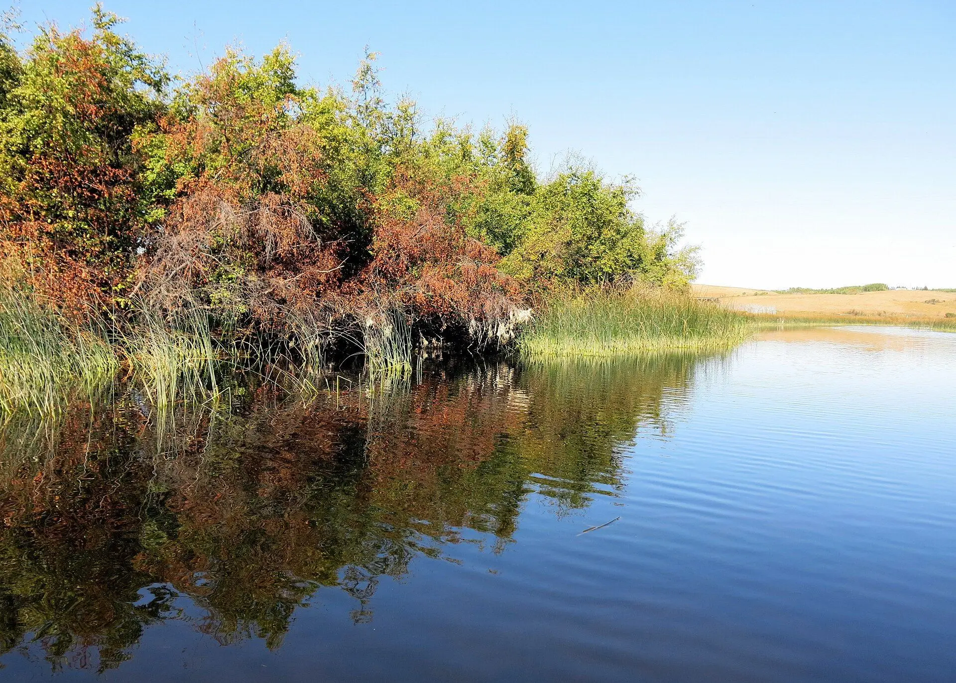 Autumn shoreline at Jackfish Lake