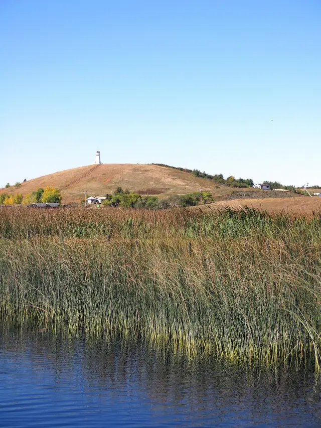 Reeds on Jackfish Lake with hill and lighthouse tower