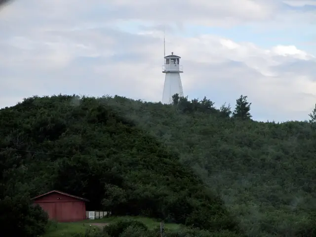 Cochin Lighthouse above the wooded hill